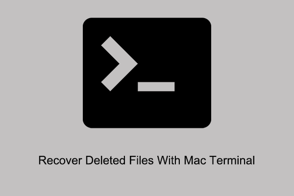Recover Deleted Files With Mac Terminal & Alternative Ways