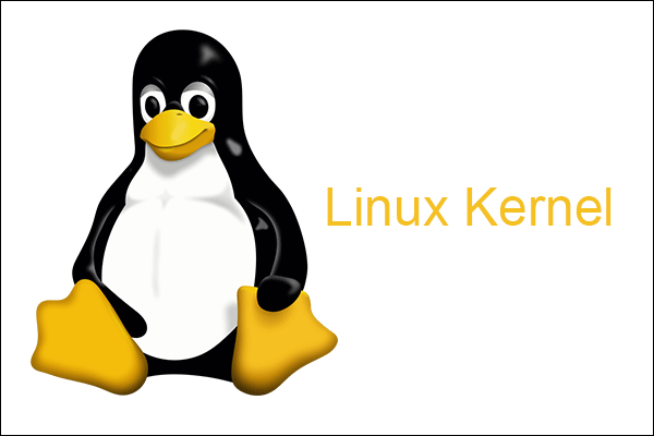 Windows 10's WSL 2 Lets Custom Addition of the Linux Kernel
