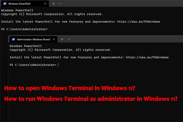 How to Open Windows Terminal (as Administrator) in Windows 11?