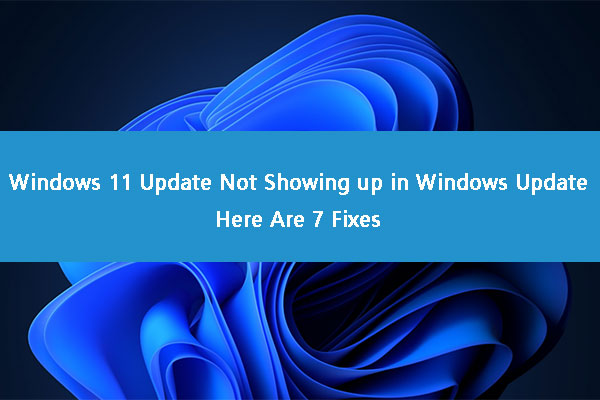 [7 Fixes] Windows 11 Not Showing up in Windows Update