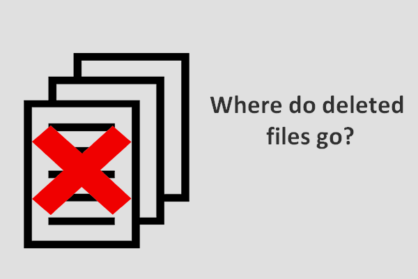 ¿Dónde van los archivos eliminados? Problema resuelto
