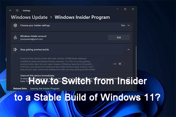 The Windows Insider Program