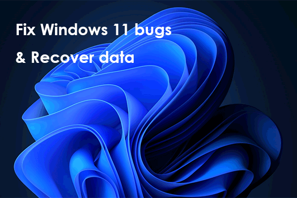 Fix Windows 11 2022 Update Bugs and Recover Data
