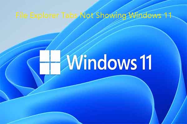 File Explorer Tabs Not Showing Windows 11? Here’re 5 Methods