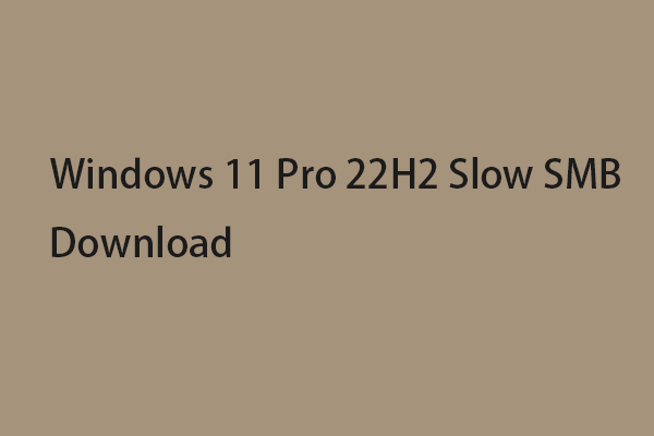 How to Fix Windows 11 Pro 22H2 Slow SMB Download? [5 Ways]
