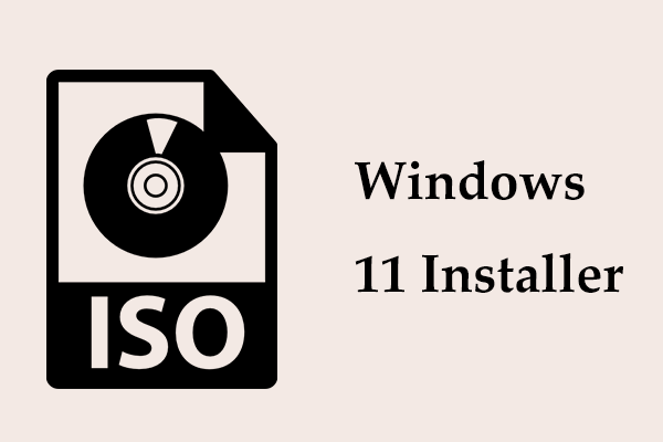 Windows 11 Installer ISO Download & How to Install OS from USB