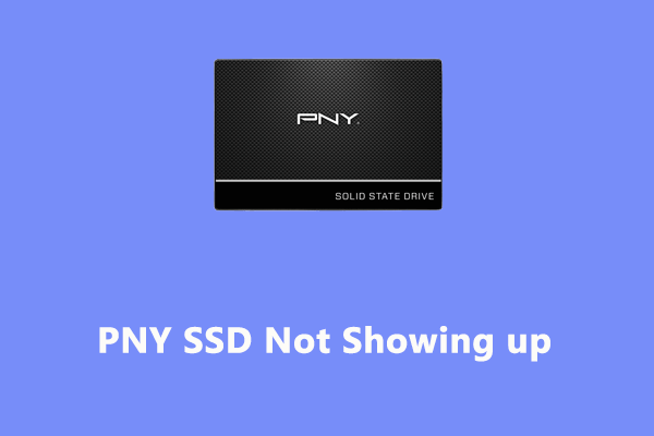 Is Your PNY SSD Not Showing up? Look Here Now!