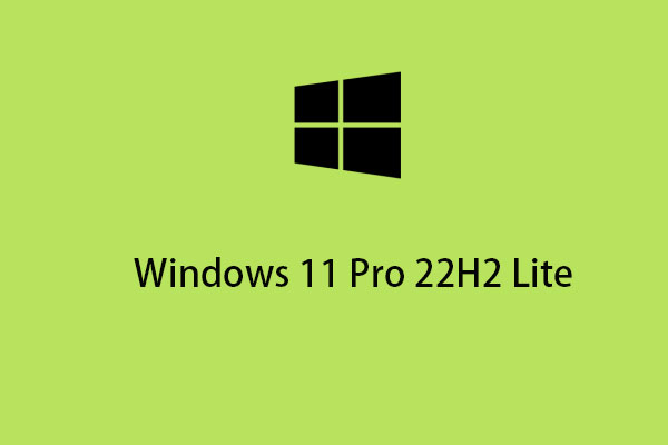 Windows 11 Pro 22H2 Lite ISO - How to Download and Install?