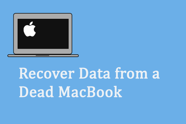 Solved: How to Recover Data from a Dead MacBook