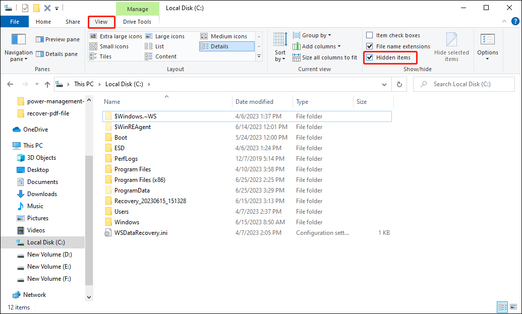 show the hidden files