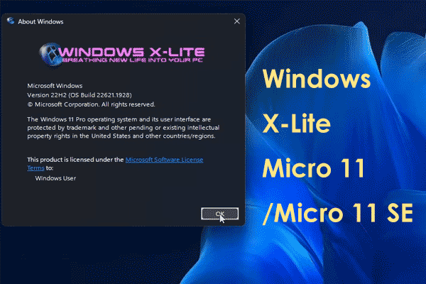 Windows 11 Pro 22H2 Lite ISO - How to Download and Install?