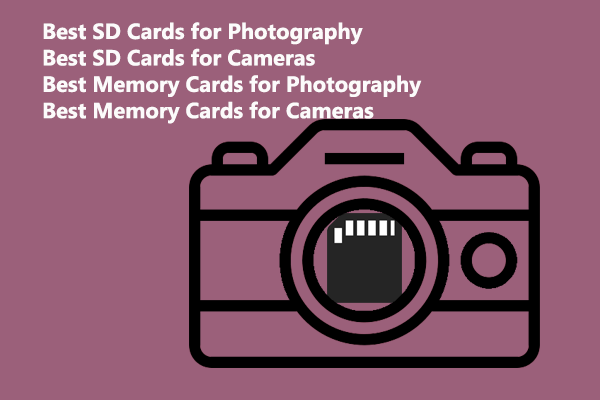 CF Card vs SD Card: What Is the Difference Between Them? - MiniTool  Partition Wizard