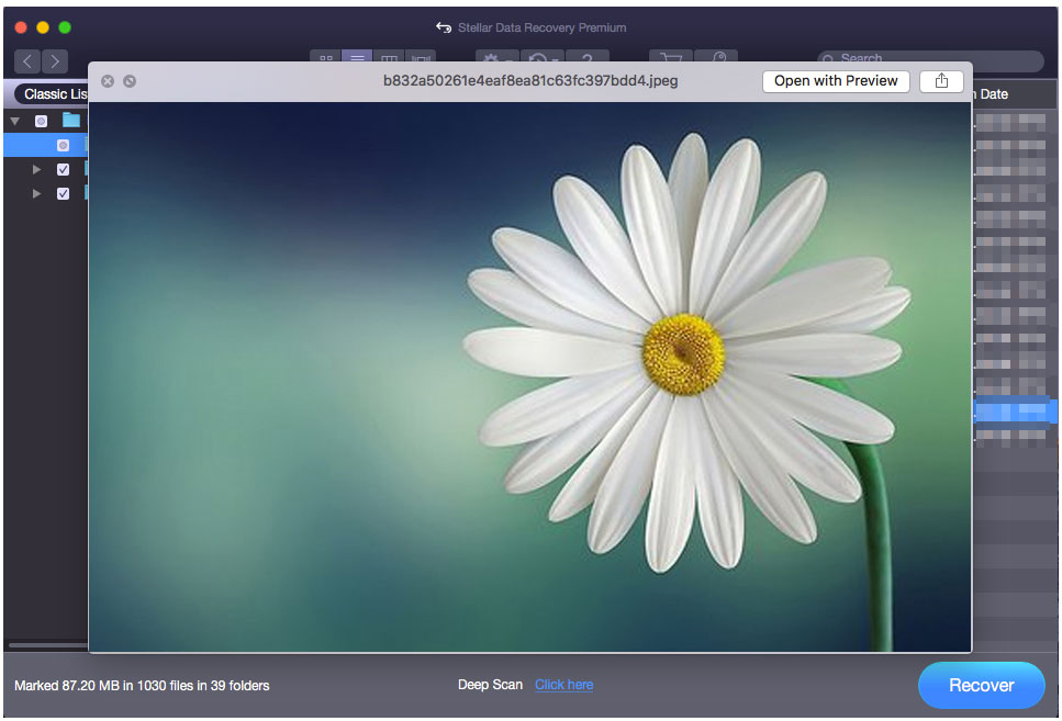 preview the picture in Stellar Data Recovery for Mac