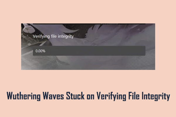 Verifying file integrity wuthering. Verifying file integrity wuthering