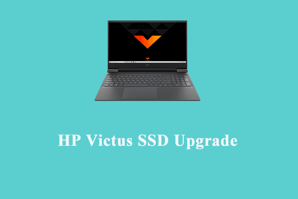 Everything You Need to Know About HP Victus SSD Upgrade
