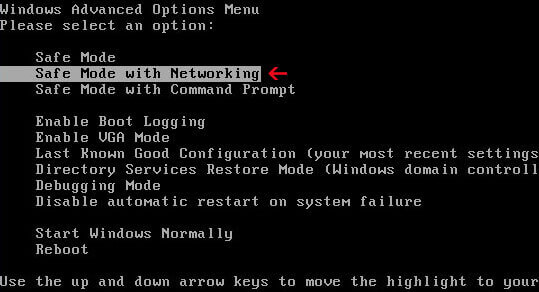 boot from safe mode with networking