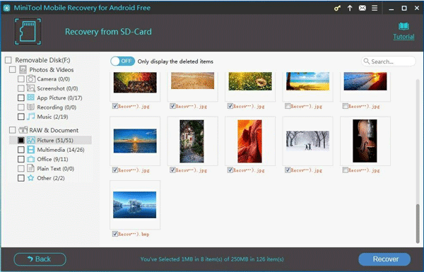 scan result interface of recover from SD Card