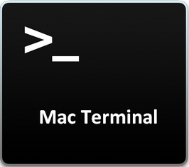 terminal force empty trash terminal force empty trash