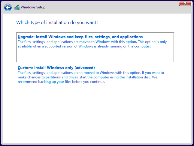 Windows Setup installation type
