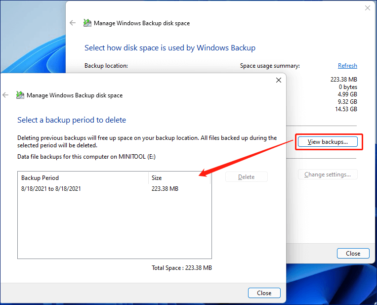 Windows 11 view backups