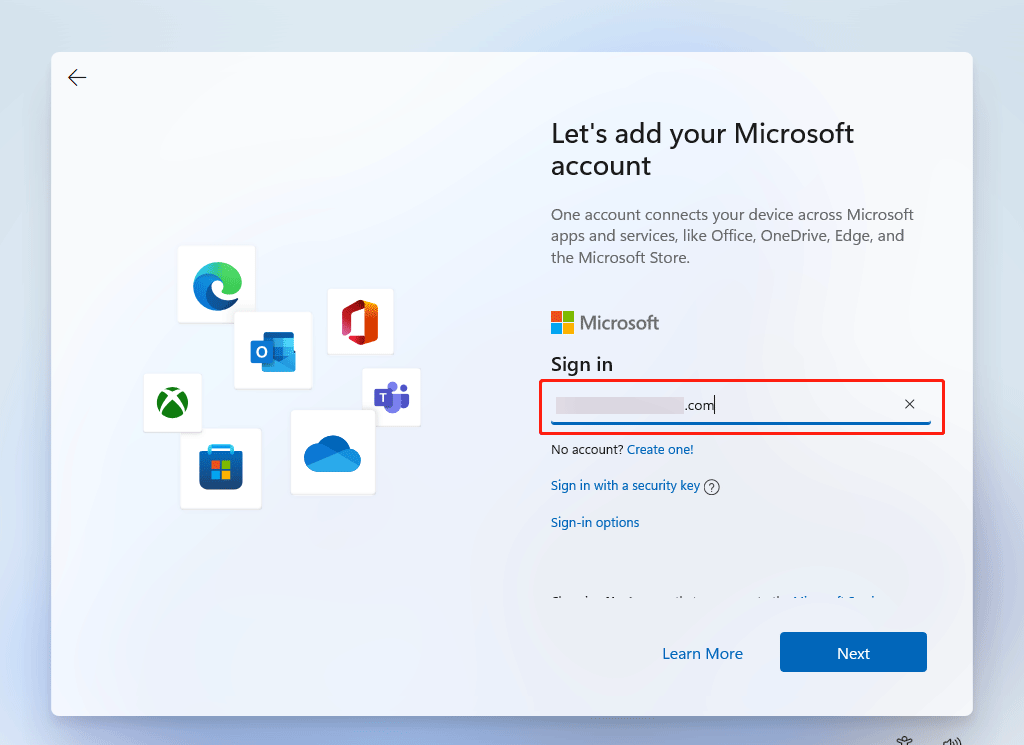 input your Microsoft account