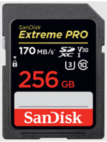 SanDisk SD card