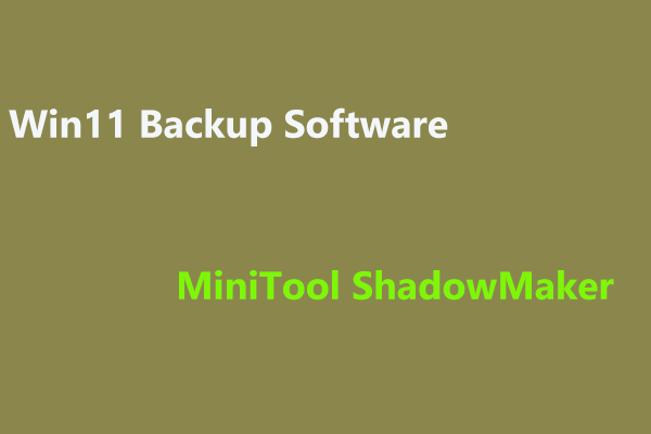 Windows 11 backup software
