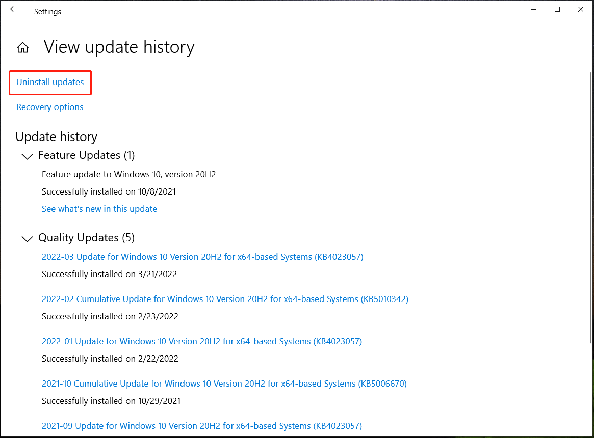 view update history windows 10 not showing