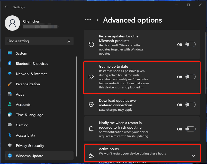 Windows 11 Update settings