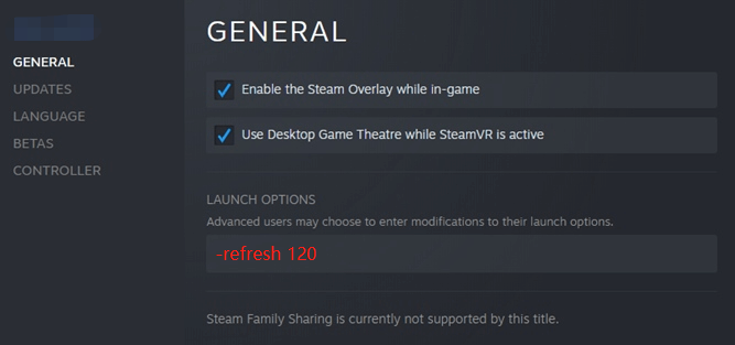 type refresh 120 on Steam Launch Options