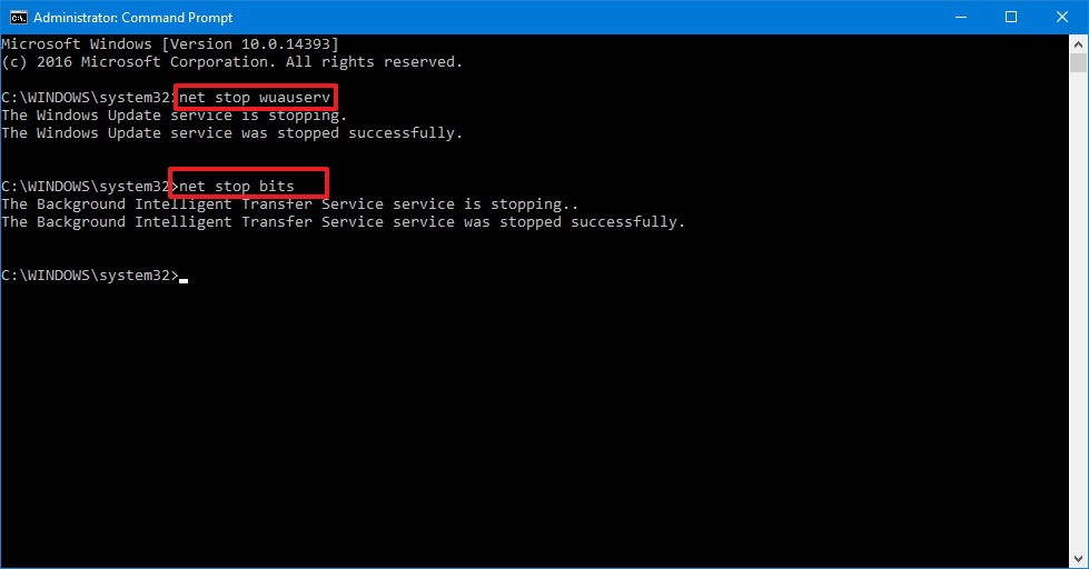execute commands one by one