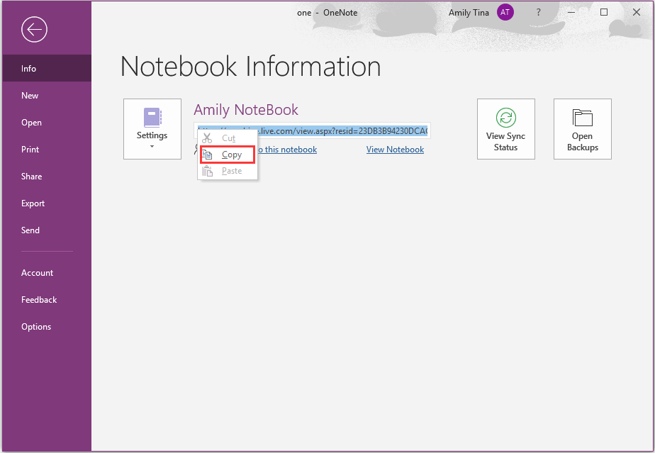 Top 6 des solutions pour OneNote qui ne se synchronise pas sous Windows 10/8/7 MiniTool