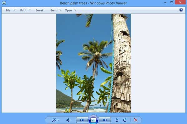 windows picture and as the Fax viewer in windows vista