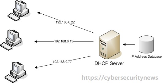 DHCP meaning