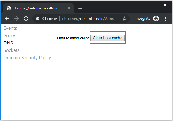 Host cache. DNS гугла. ://Net-Internals/#DNS. DNS host Google. «Clear host cache»..