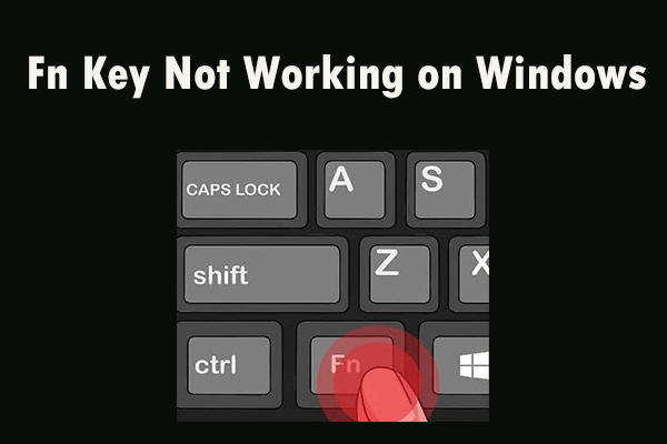 fn keys stopped working windows 10 pro