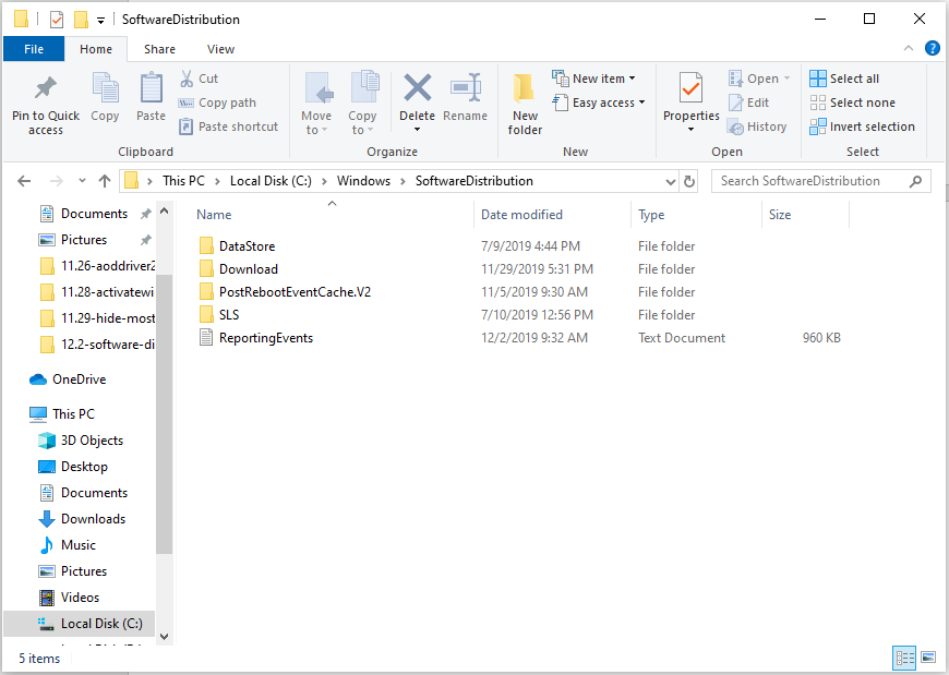 Software Distribution folder on Windows 10