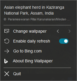 Bing Wallpaper options