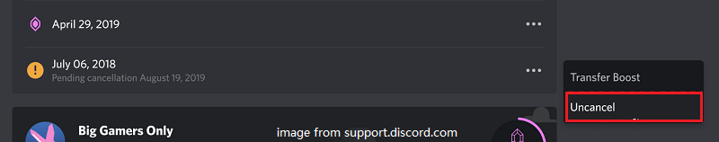 Uncancel Discord Server 부스트
