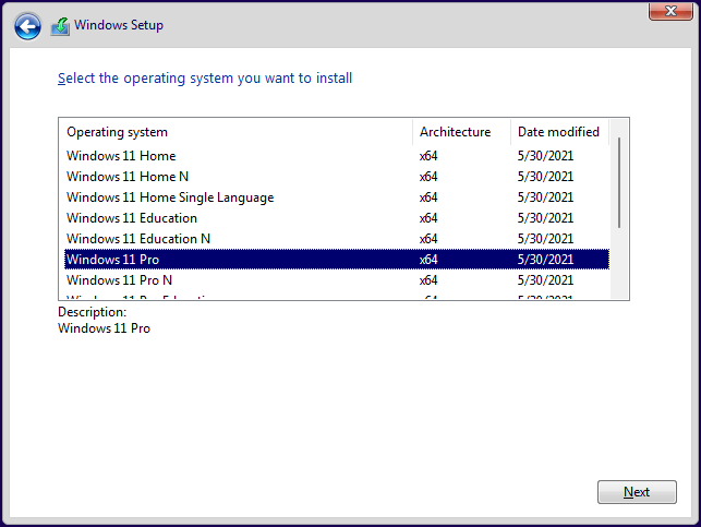 select Windows 11 edition to install