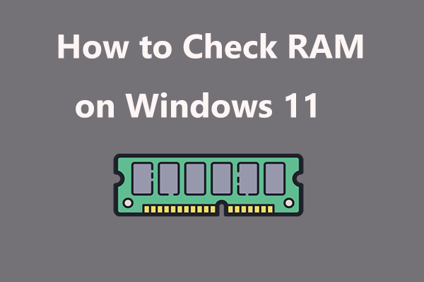 How to Check RAM on Windows 11/10 (Size, Speed, Type, etc.)