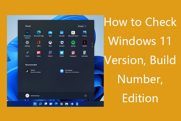 how to check Windows 11 version