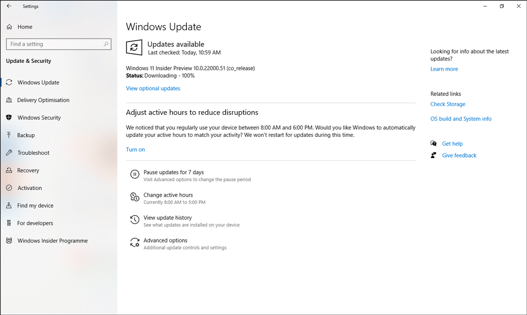Windows 11 update downloading stuck at 100%