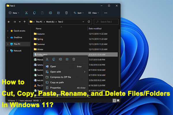 How to Cut, Copy, Paste, and Rename Files/Folders in Windows 11?