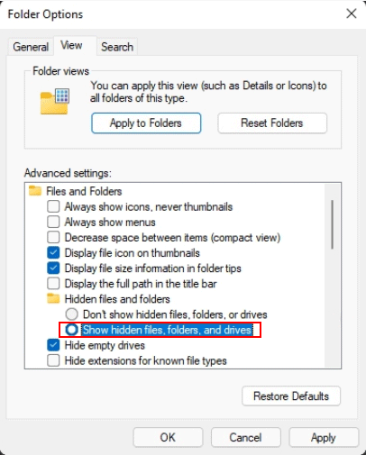 Windows 11 show hidden files
