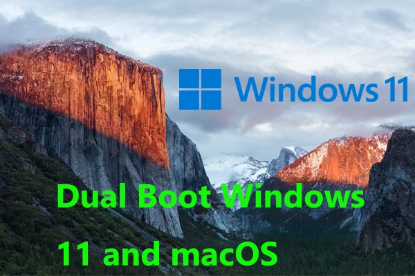dual boot Windows 11 and macOS