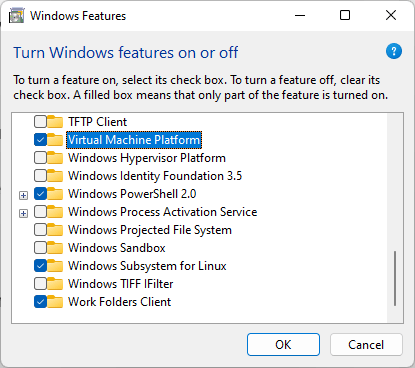 Windows 11 Virtual Machine Platform