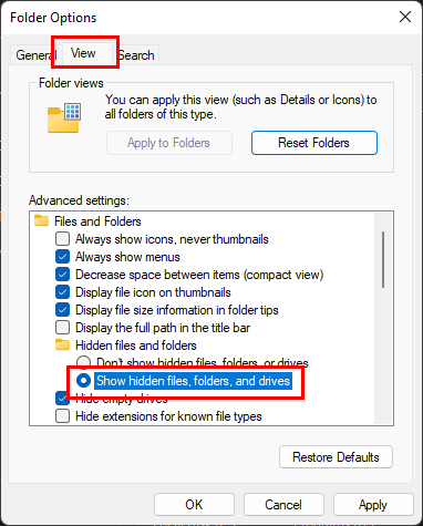 show hidden files and folders on Windows 11