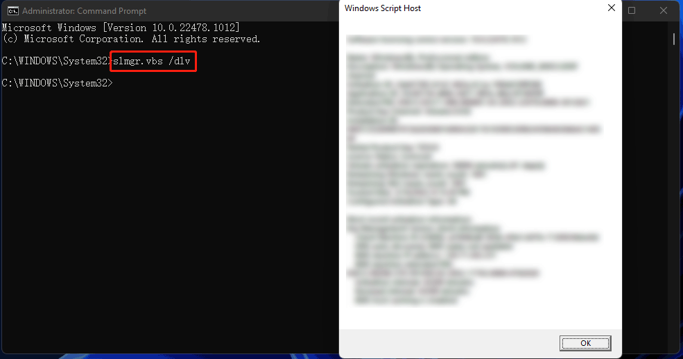 [FIXES] Windows 10/11 Product Key Not Showing in Command Prompt MiniTool