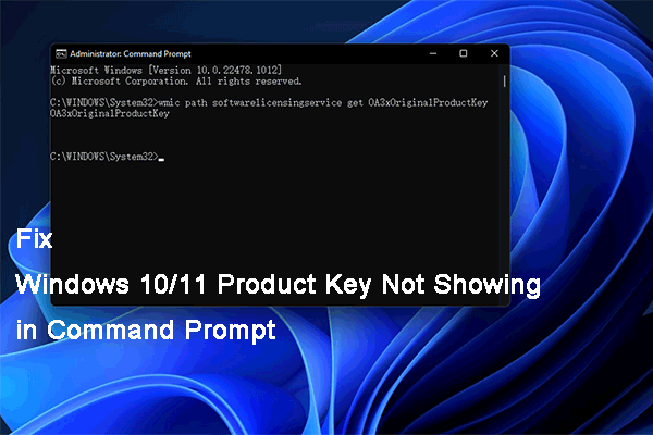 [FIXES] Windows 10/11 Product Key Not Showing in Command Prompt